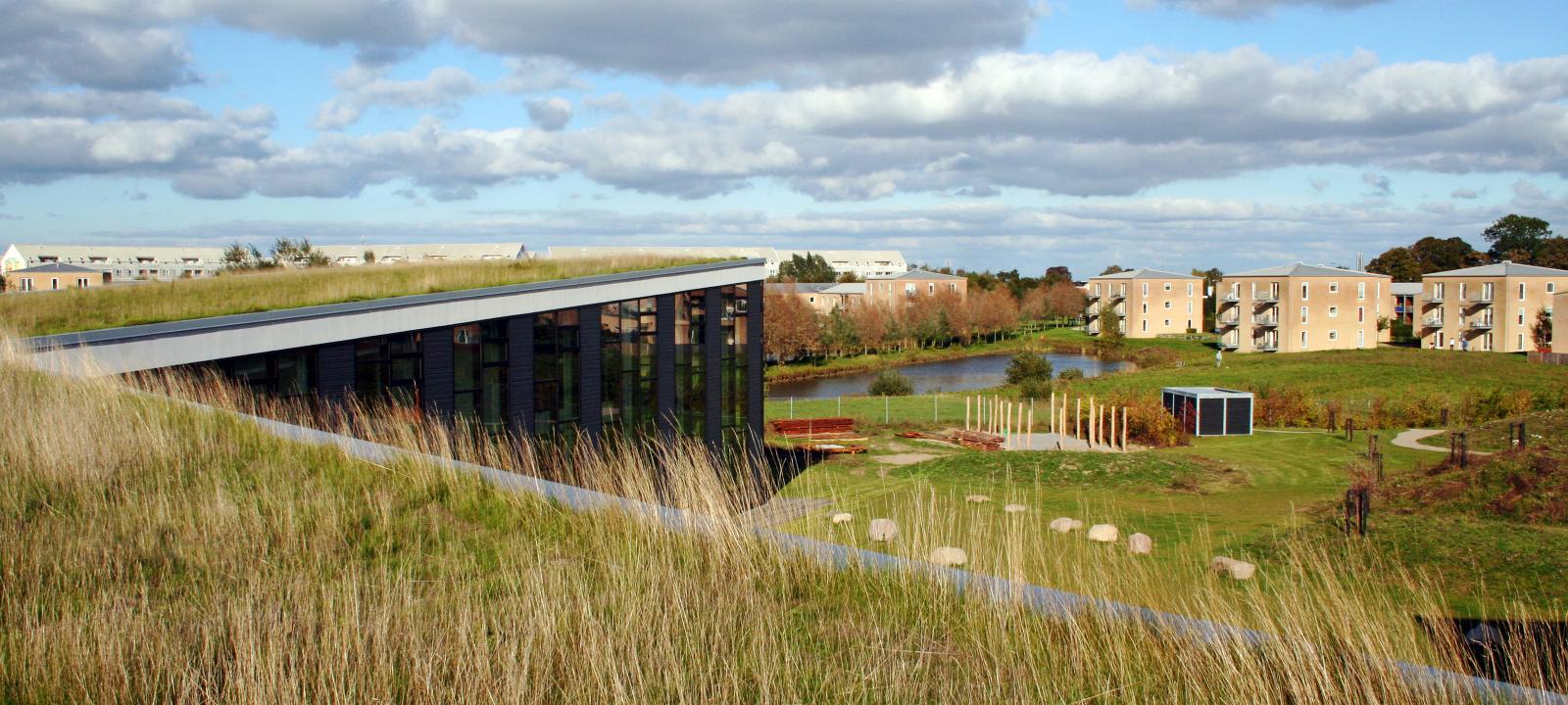 Building with a gras roof